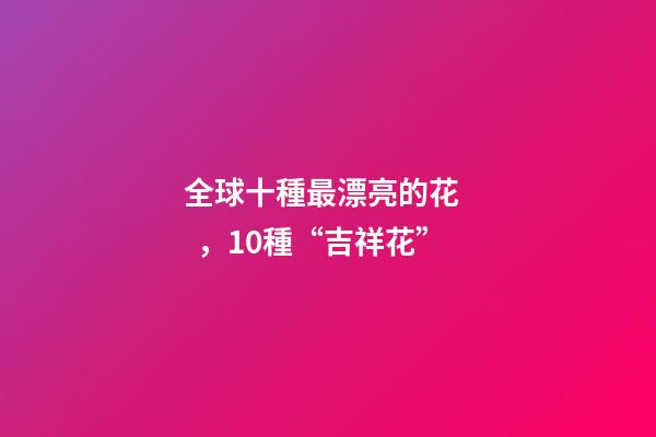全球十種最漂亮的花，10種“吉祥花”